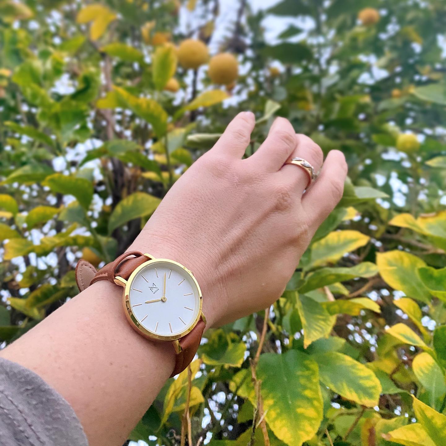 Classico / White & Gold / Brown Leather